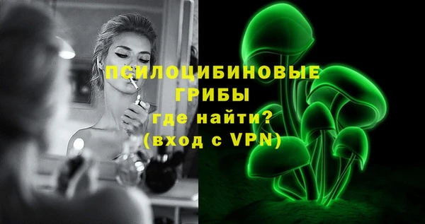 PSILOCYBIN Карталы