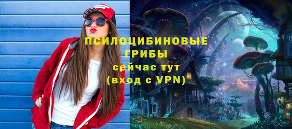 ГАЛЛЮЦИНОГЕННЫЕ ГРИБЫ Карпинск