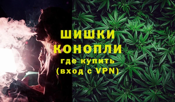 ГАЛЛЮЦИНОГЕННЫЕ ГРИБЫ Карпинск