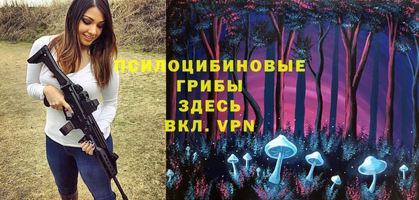 PSILOCYBIN Карталы