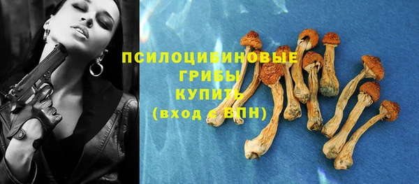 ГАЛЛЮЦИНОГЕННЫЕ ГРИБЫ Карпинск